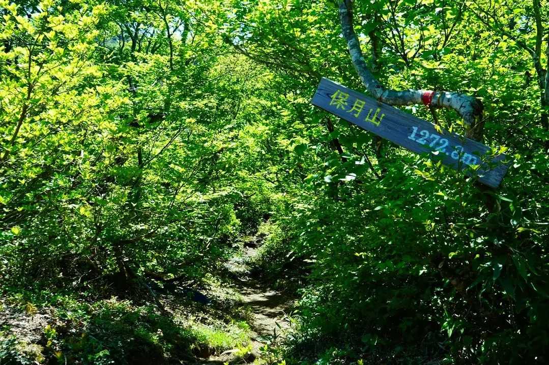 保月山の写真