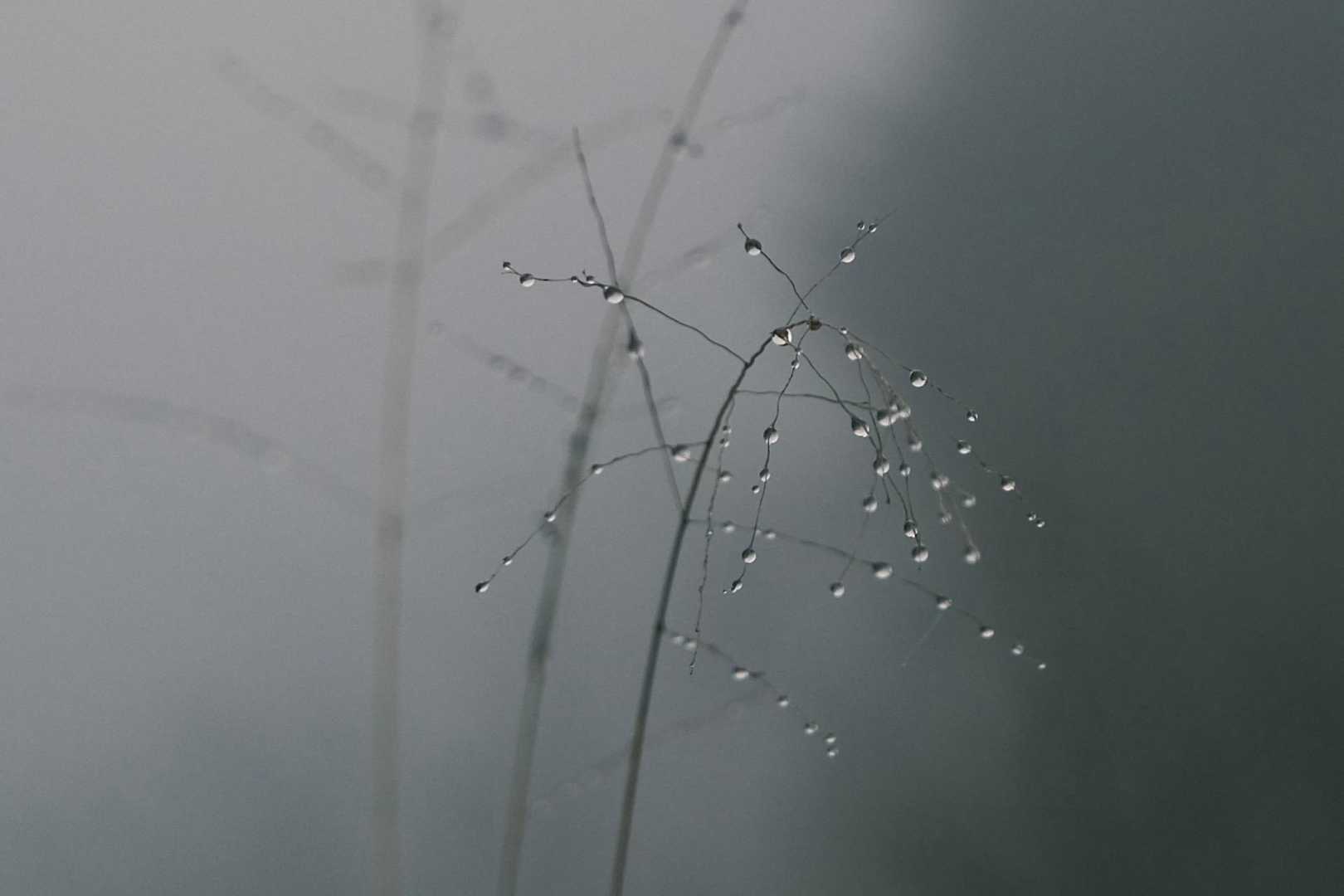 小雨は止みました

