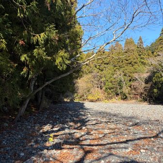 ここはいったいなんなんだろう〜