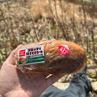 コロッケと焼きそばとパンというアホみたいな炭水化物パンを食べます。最高です。