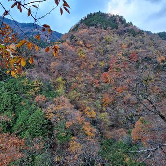 パッチワークみたい