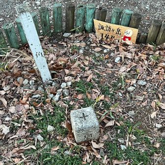 唯一の山頂・諏訪ケ岳　144.5m