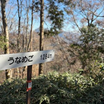 展望なし！
サッサと帰るべ