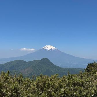 明神ヶ岳から富士山と手前に金時山