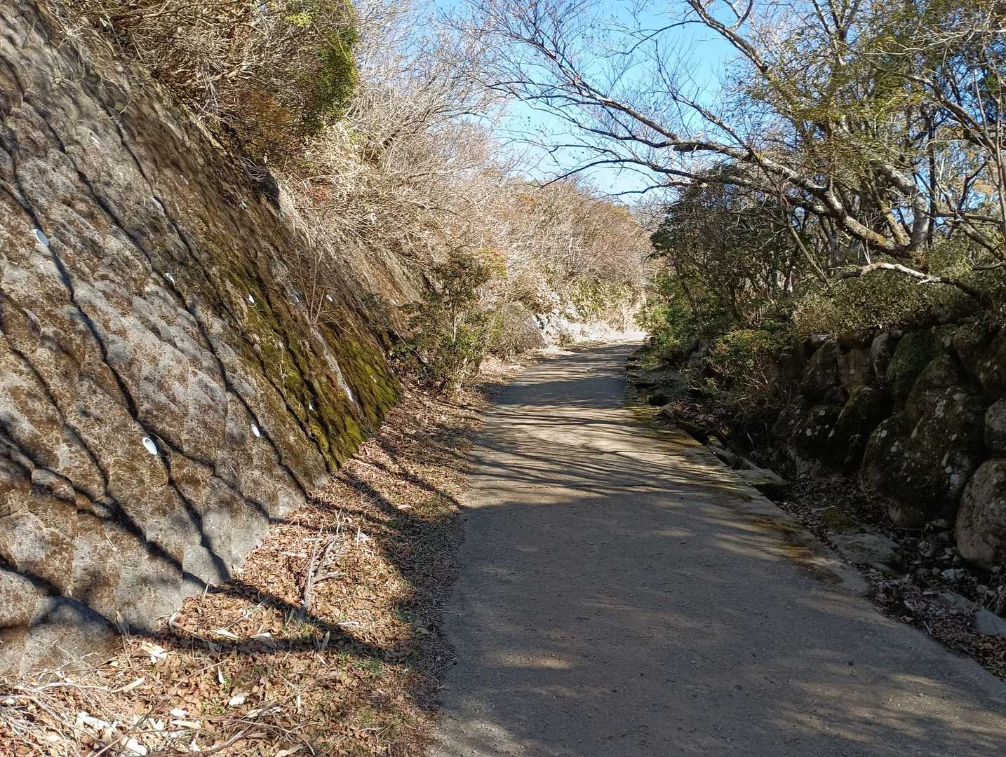 戸田峠-金冠山-小達磨山 周回コースの写真