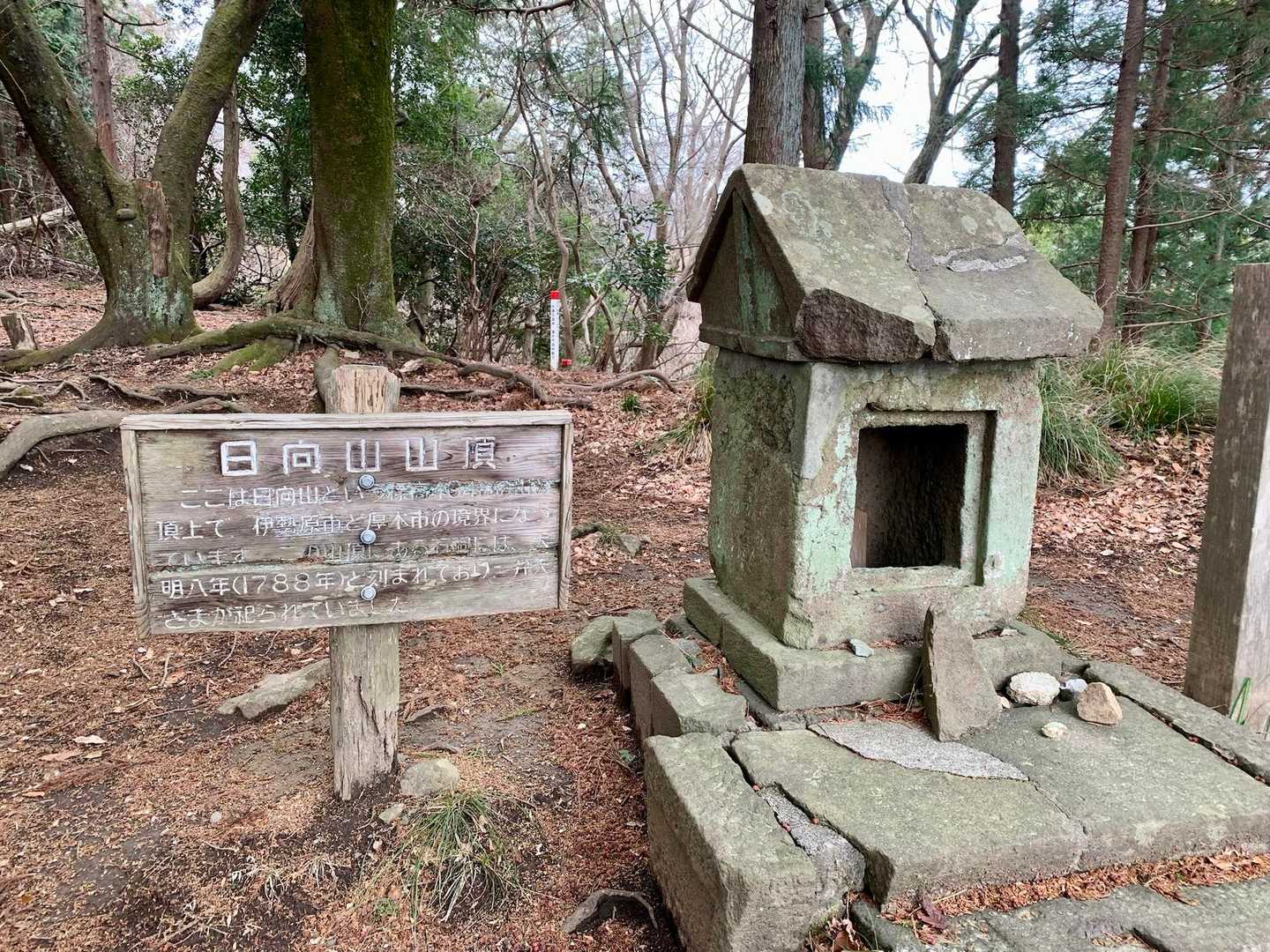 日向山山頂