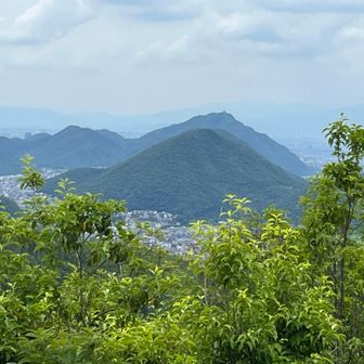金華山が近い