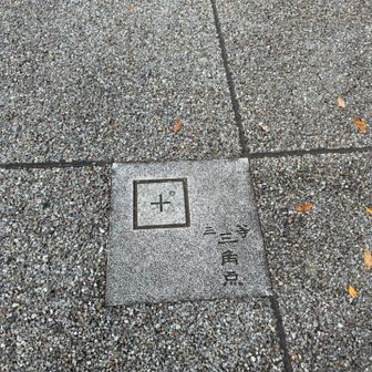 見つけるのにかなり手間取った三角点。
ともかく無事登頂成功です😮‍💨