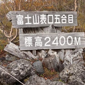 下界は観光客で賑わってました。