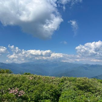 白山方面は少し雲がかかってました
こっちにも雲が欲しい…