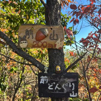 前どんぐり山

ここにも可愛いのがいた！