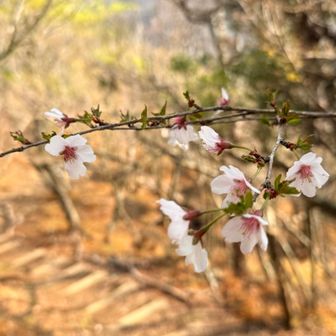 時々止まってこの贅沢な景色を楽しむ