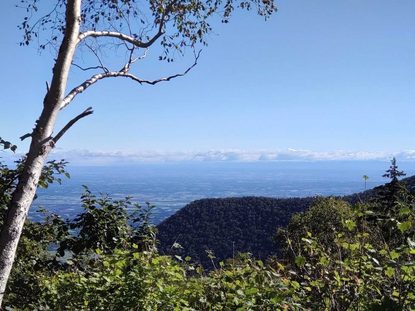 やっと景色が見えた👍