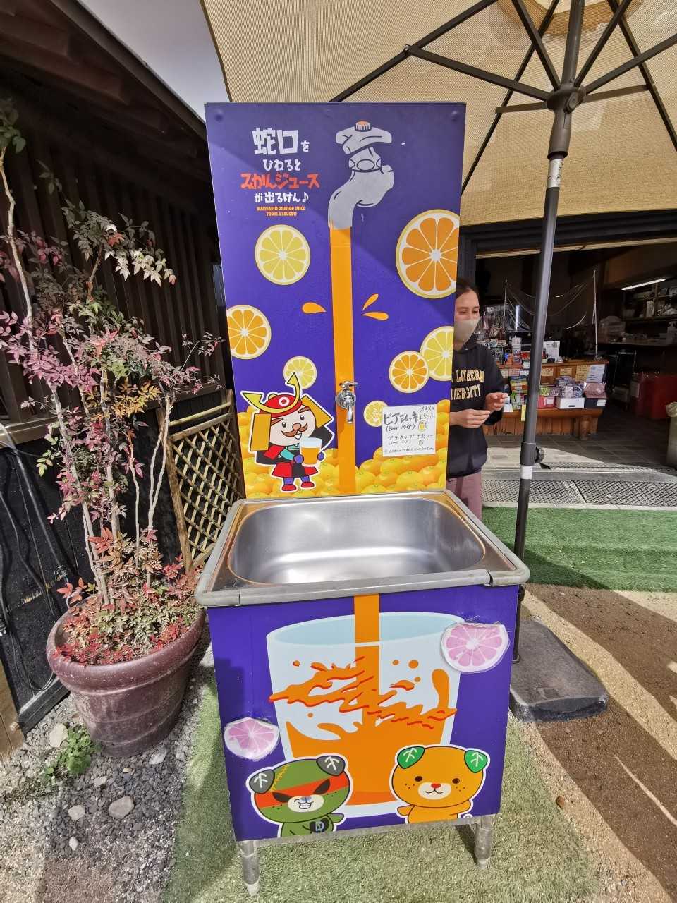松山城を攻めたら、🍊みかんジュースの蛇 / 肉球モフモフたん
