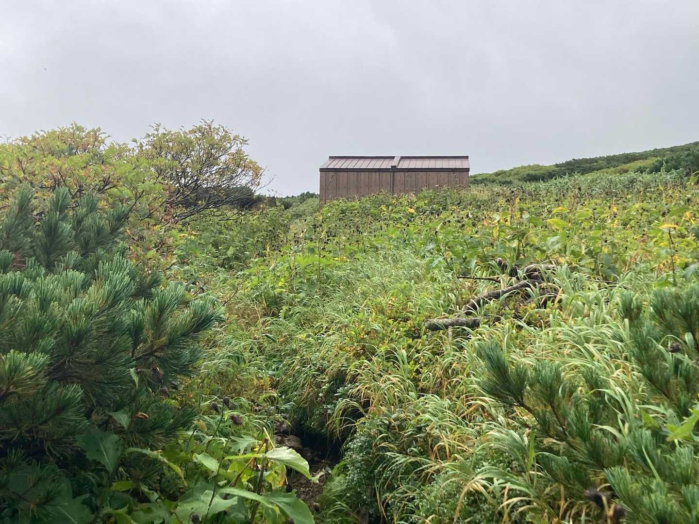 笹薮等々を過ぎて、避難小屋🛖が現れます。