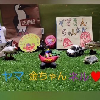 ヤマきんちゃん