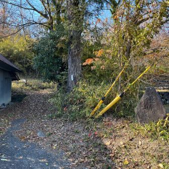 出てきた♫
石には「是より山道」と〽️