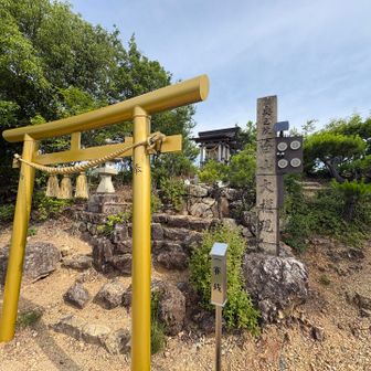 野一色権現山⛰️
山頂はご夫婦がくつろいでおられたので⛩️で