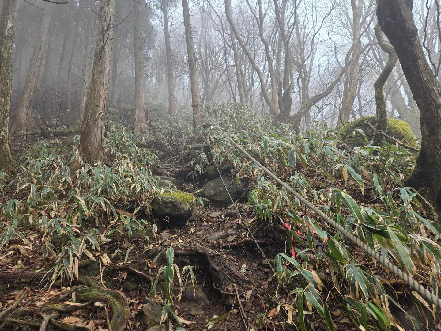 確かにスゴい登りです😃