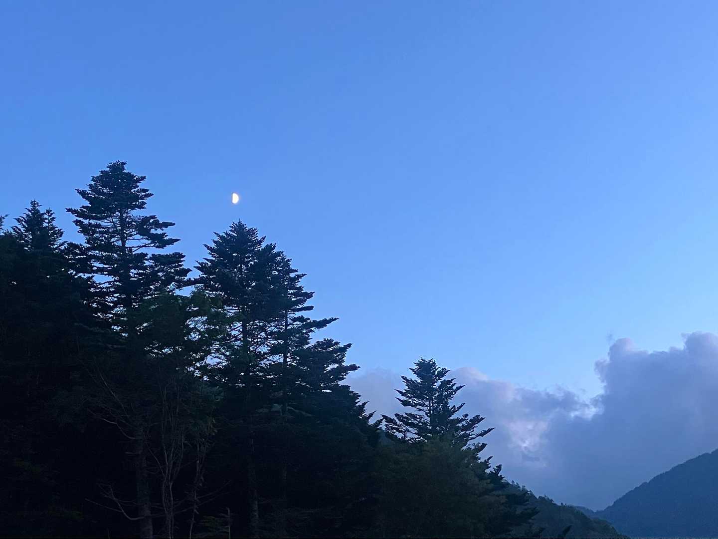 夕暮れの空に半月