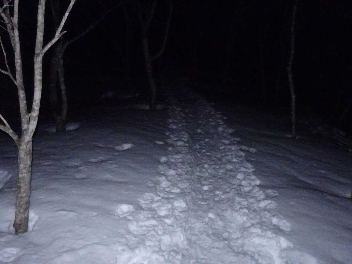 駐車場一番乗りやったけど二番手でブラックスタート😅
トレースバッチリ👣
