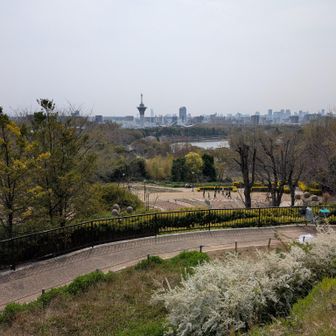 新山からの眺め