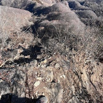 片側切れ落ちてるので慎重に