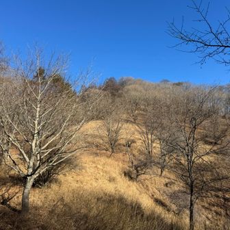 楽しい山歩きだったなぁ😊