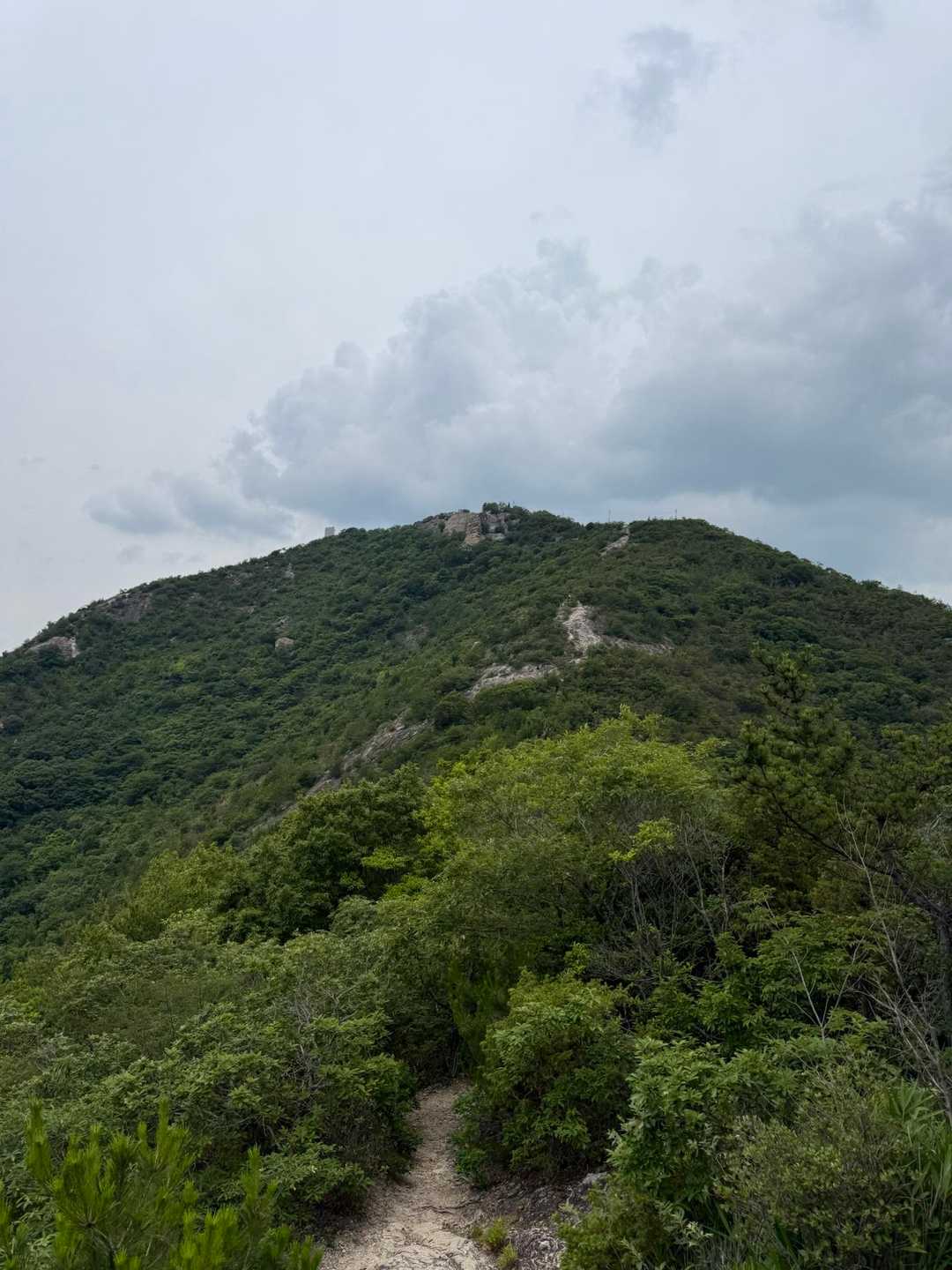高御位山が見えてきました
岩場が山頂近くに見えてます。
楽しそう😆