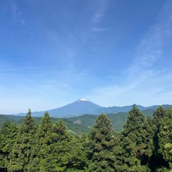 つぶらの公園からの富士山