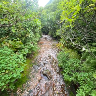 旧道に戻ります
一人の時は基本旧道だからね