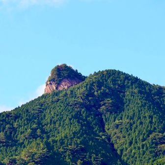 …あの＂はみチン＂の上に登っていたとか…とても感慨深いです。（だからはみチンって言うな！）