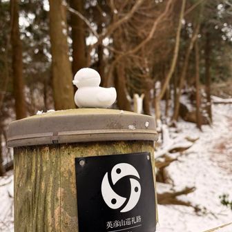 所々にいたアヒル隊長に癒されました🐣