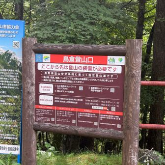 地味に長い…林道アスファルト…自転車置いてる人も居た。納得。