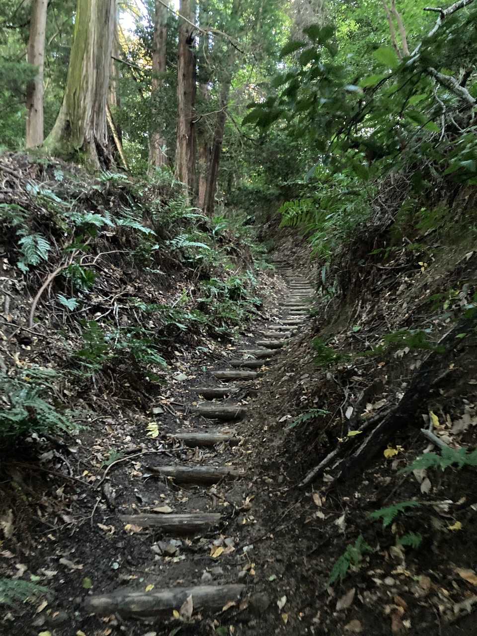 この様な道が続く よく整備して頂いてます。