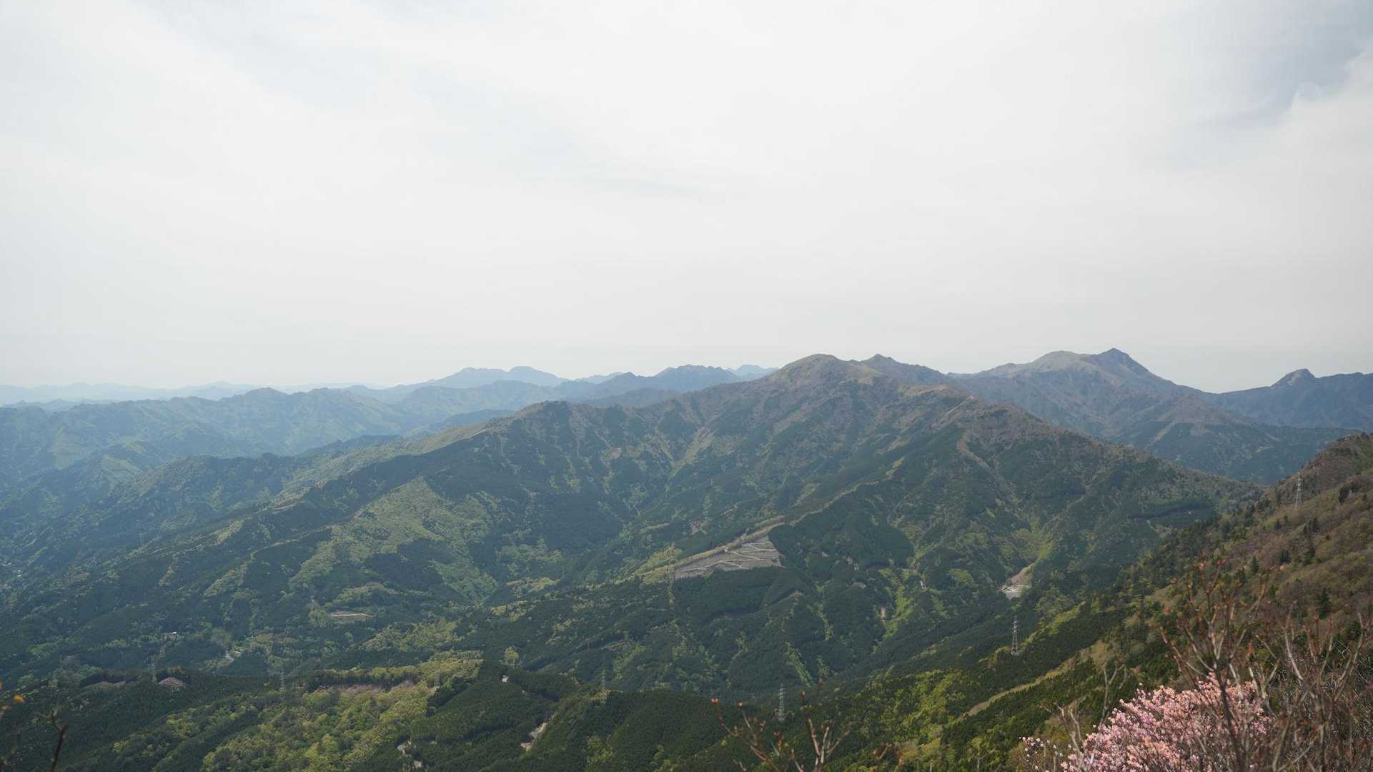 大座礼山登山口-井野川越-大座礼山-大田尾越 周回コースの写真