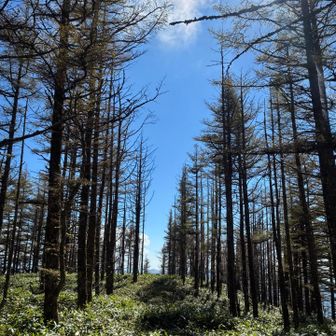 気持ち良くて昼寝💤したいの我慢して、下山します😥
