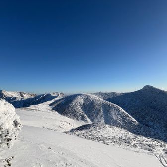 船明神で補給休憩🍙
何故かここだけ風なくていい感じ😁