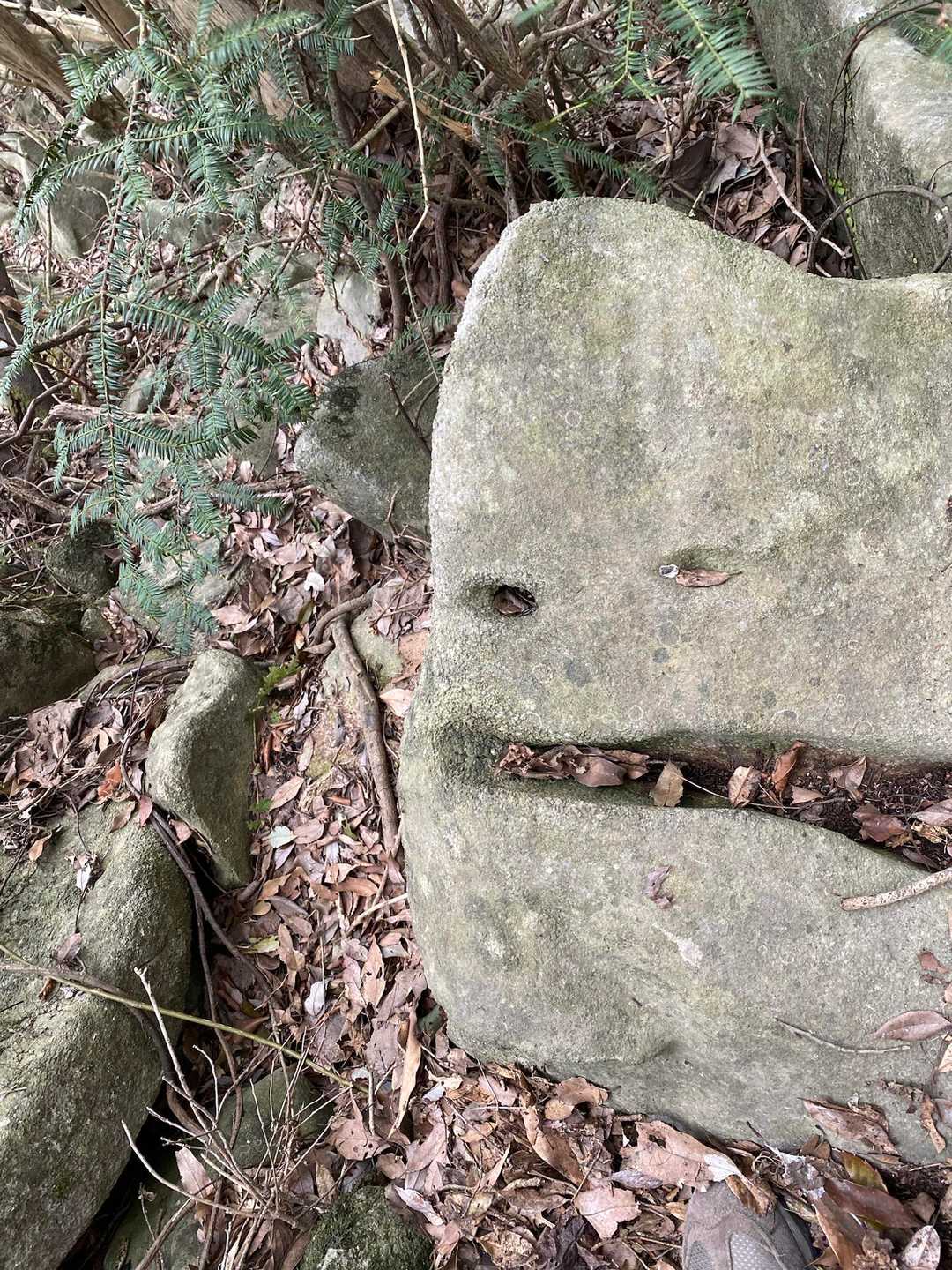 岩オバケ👻