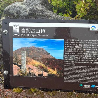 晴れてたらこんなの。紅葉よさそう！