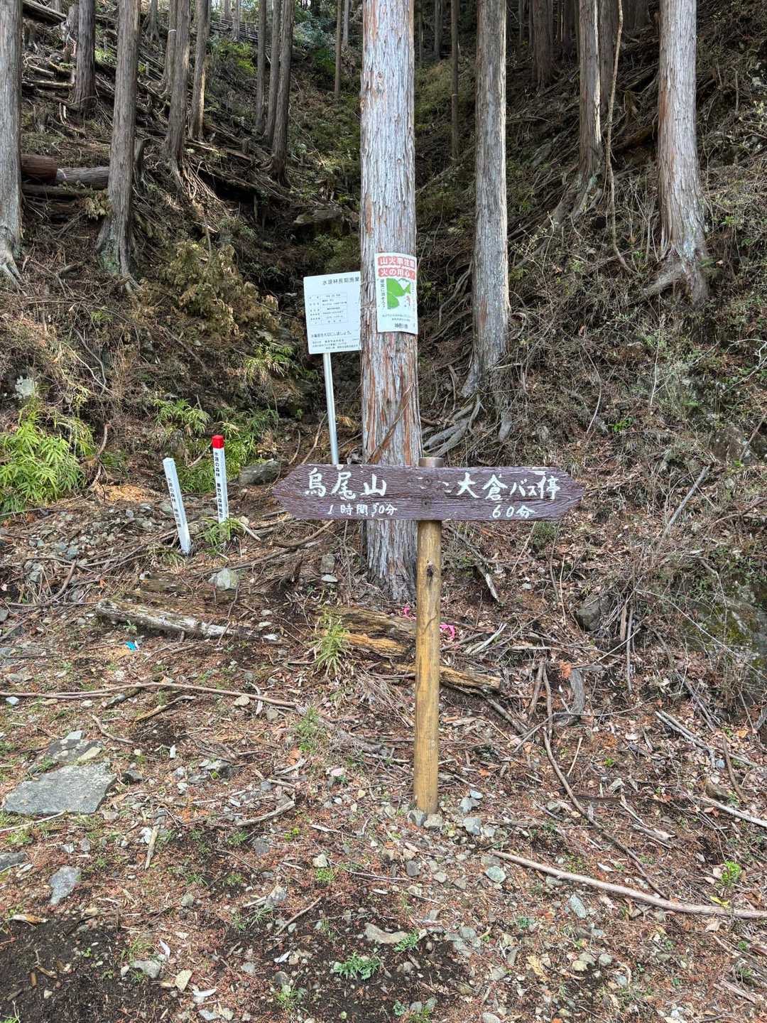 登山口に無事下山