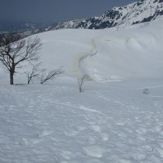 阿寺山から見る小さい雪庇の縁が黄色に。花粉？