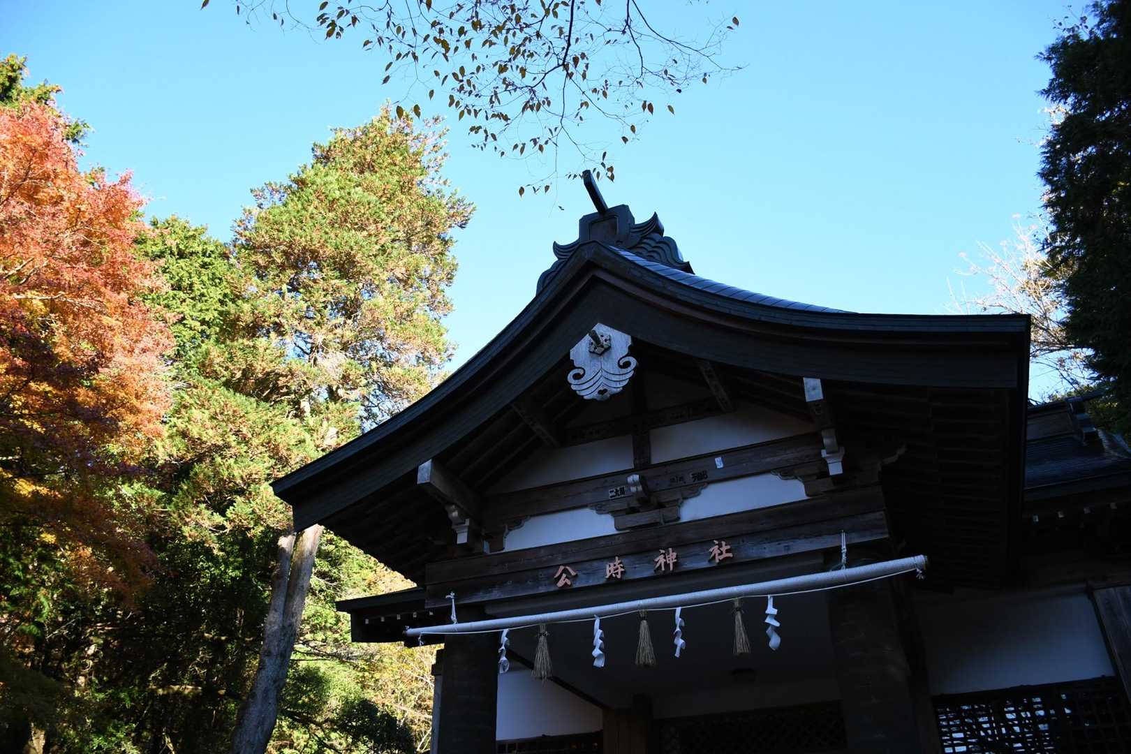 よろしくお願いします🙏