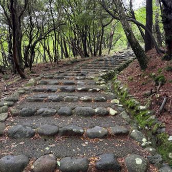 登りはなんとか 膝確認しながらのの登山 まだ違和感なし