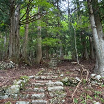 小中坊手前の石畳。