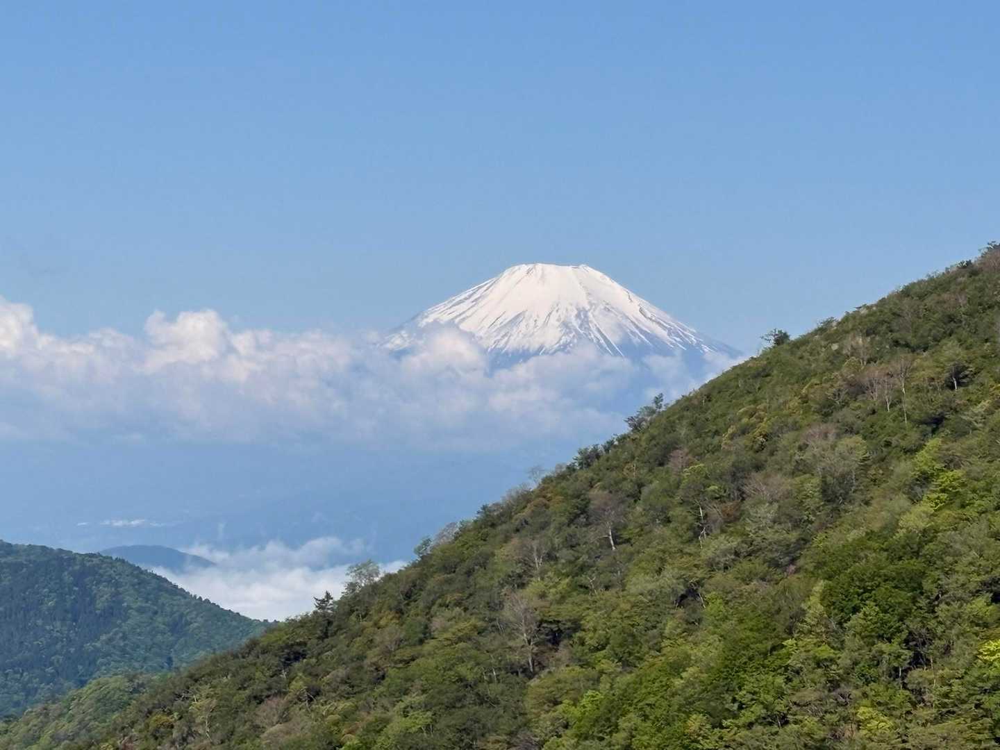 戸沢の出合-塔ノ岳-丹沢山-政次郎ノ頭 往復コースの写真