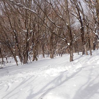 やっぱり晴れるとええね😁