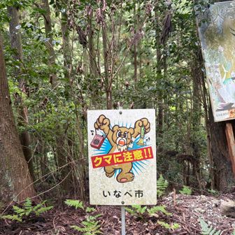 はるのさんいたw