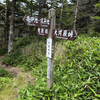 亀甲池方面へ