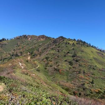 苗場山から見る神楽の峰
登り返しがキツイ